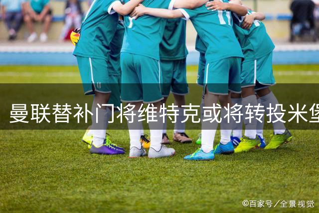 曼联替补门将维特克或将转投米堡 英冠赛场成新归宿