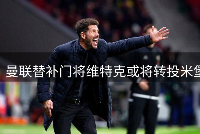 曼联替补门将维特克或将转投米堡 英冠赛场成新归宿