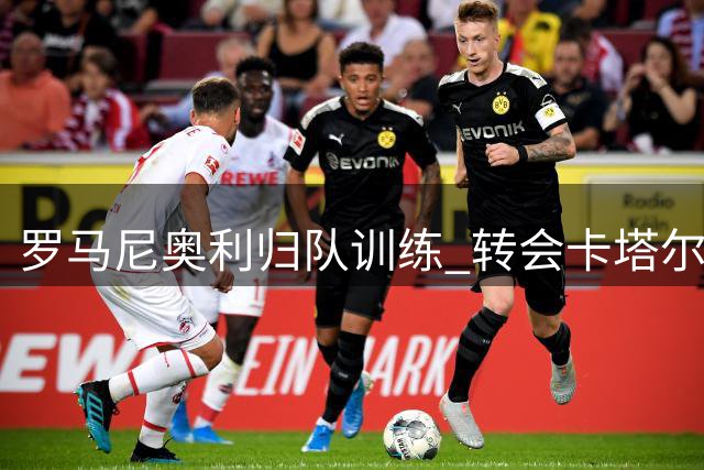 罗马尼奥利归队训练 转会卡塔尔交易搁浅现转机